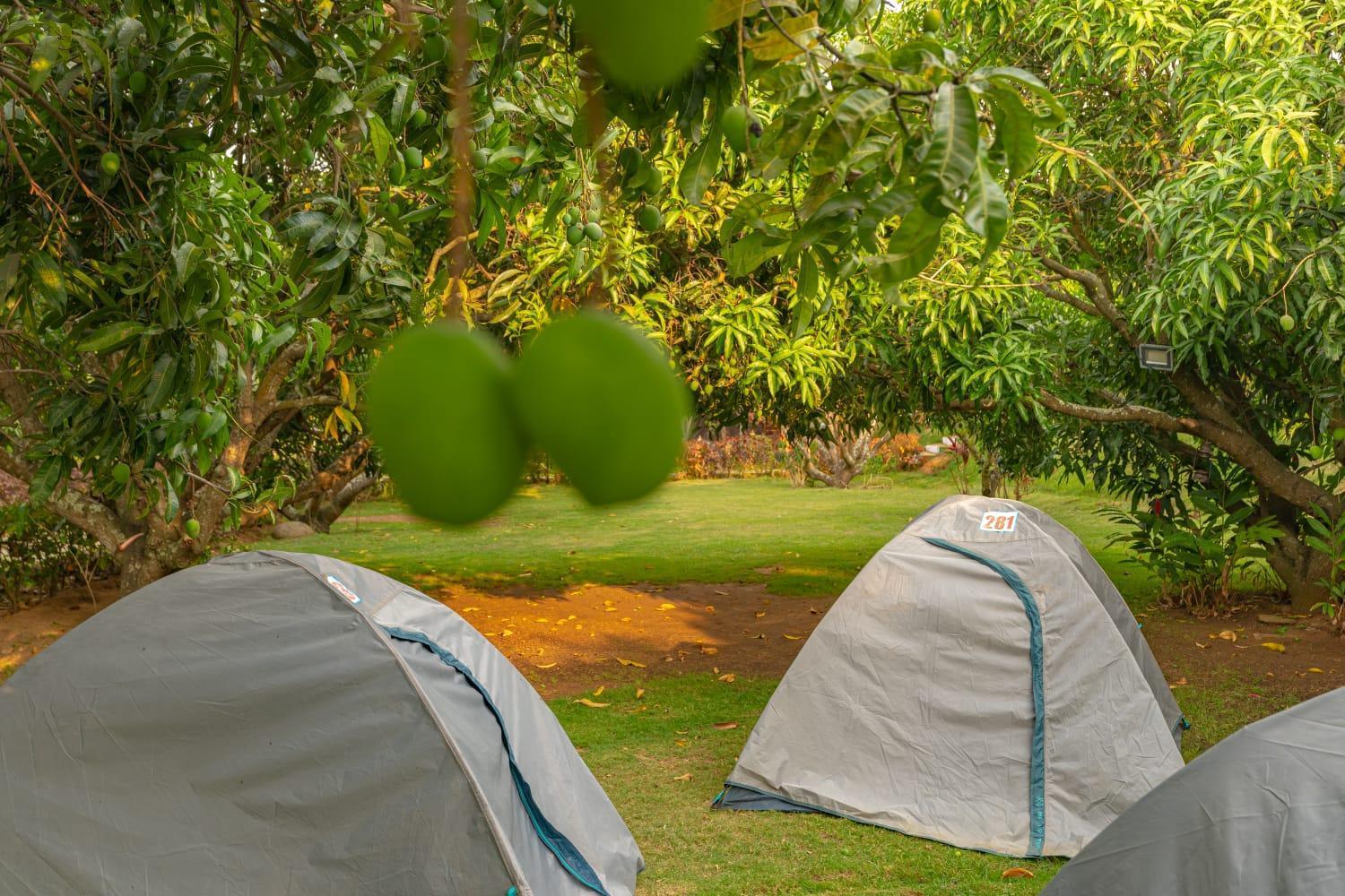 Q Mango Resort Ramanagara Екстер'єр фото